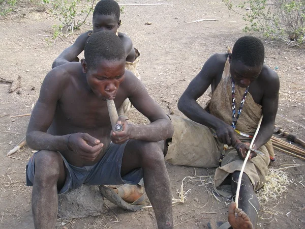 Traditional bow and arrow used in Hadzabe hunting