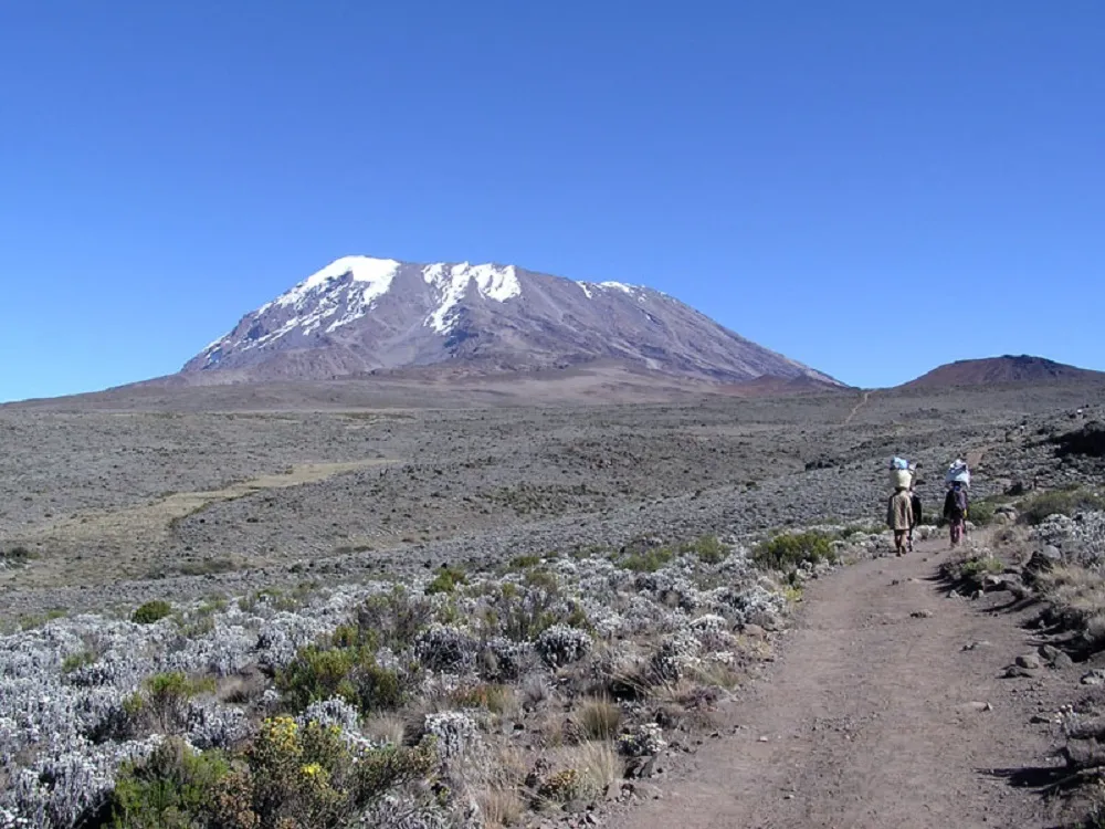 Kilimanjaro Umbwe 6 Days