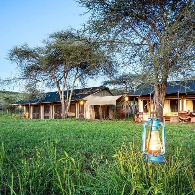 Tanzania private safari