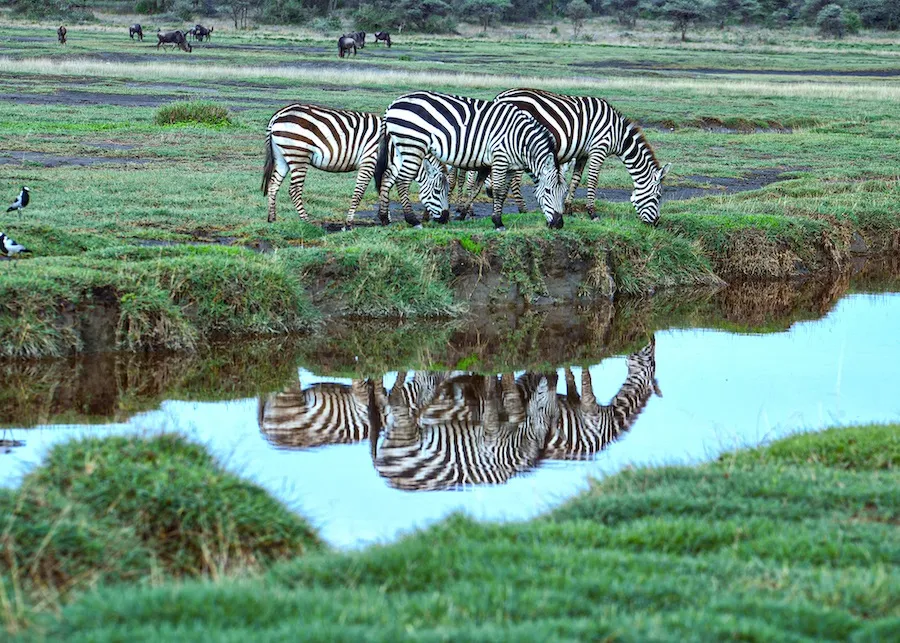 Serengeti National Park
