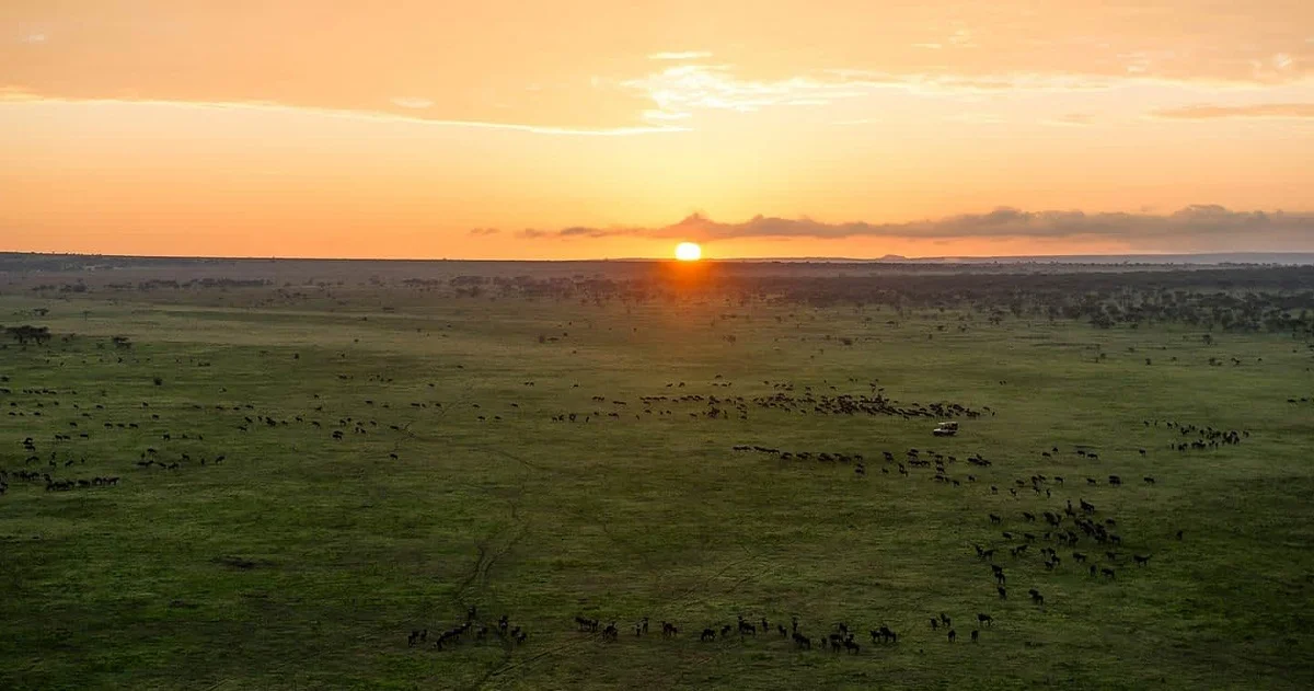 Southern Circuit Safari