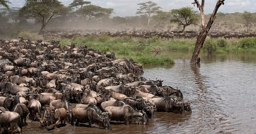 6 Day Tanzania Safari