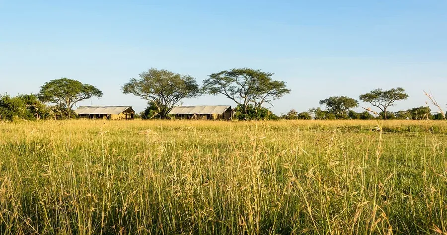7 Day Tanzania Safari