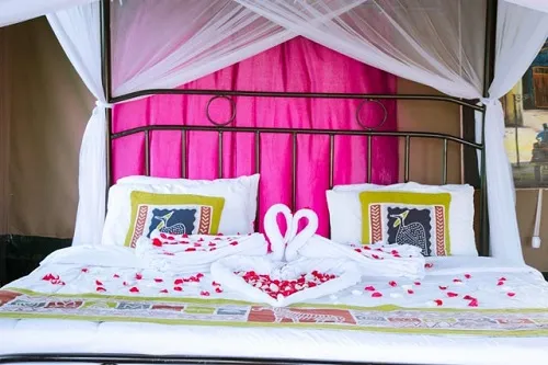 Tanzania Luxury Safari