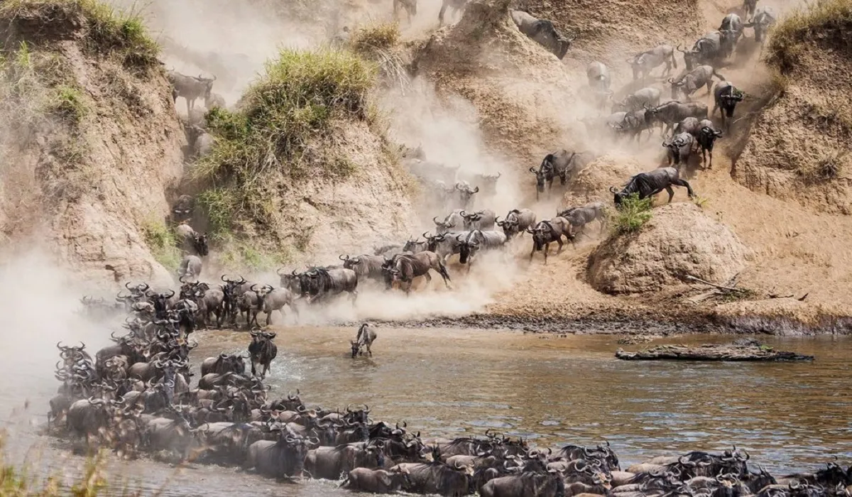 Serengeti National Park guide